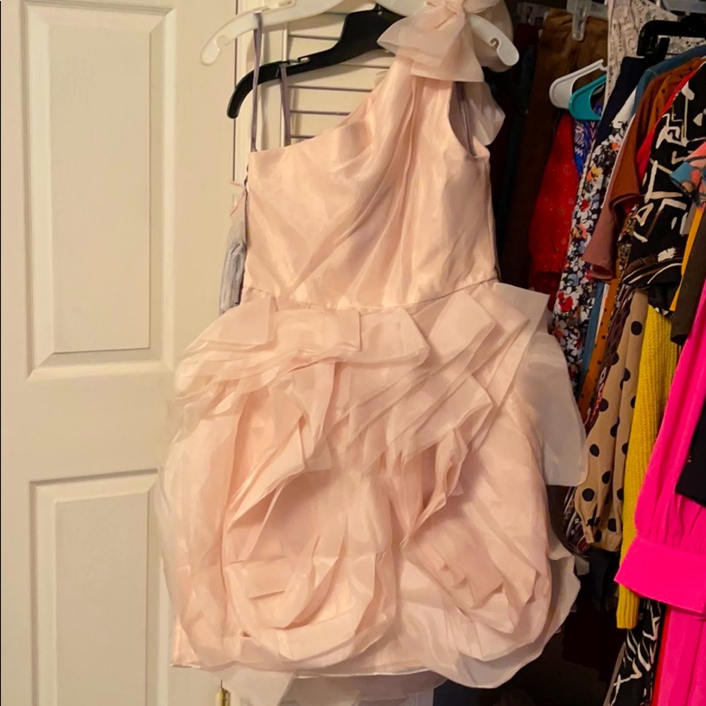 David’s Bridal Vera Wang dress